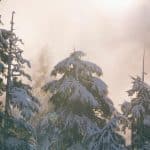 Molestiae omnis dolorum modi doloribus 34deb0eb-e50e-3fe0-9172-de6b1e1698db