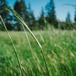 Et tempore illo beatae debitis 8198ae2c-6374-35bd-bedf-bddac619b381