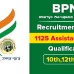 BPNL Recruitment 2024: Apply Online for 2248 Small Enterprise Development Assistant Vacancies. BPNL Recruitment 2024