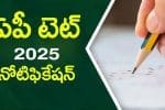 AP TET 2025 Notification