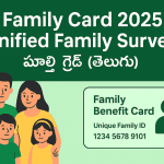 AP Family Card 2025